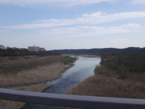 睦橋から見る多摩川